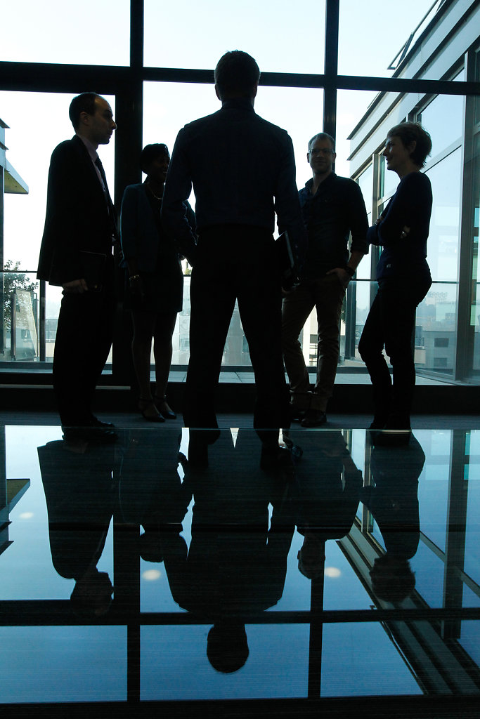 Rapport Annuel Ellisphere 2014